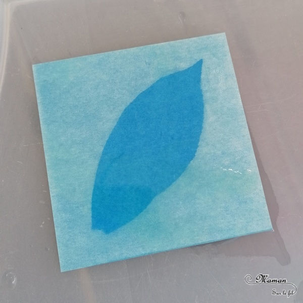 Découvrir la technique du cyanotype - Impression soleil - Papiers photosensibles - Utiliser la nature et le soleil pour créer de petits tableaux bleus cyan - Décorations DIY Chambre enfants - Fleurs, végétations, fougères - Kit Sunprint - Météo et été - Expérience et sciences enfants - - activité créative et manuelle enfants - Bricolage Eté - Tutoriel - Arts visuels, projet collaboratif maternelle et élémentaire - Cycles 1 et 2 - mslf