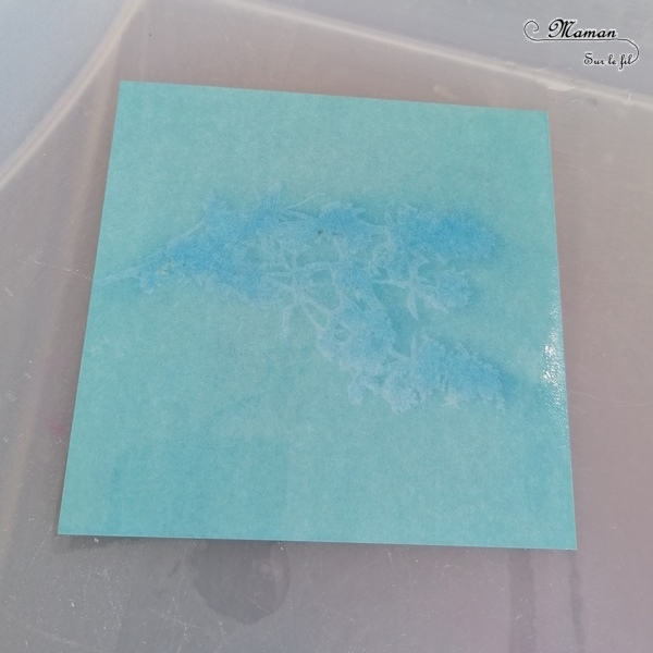 Découvrir la technique du cyanotype - Impression soleil - Papiers photosensibles - Utiliser la nature et le soleil pour créer de petits tableaux bleus cyan - Décorations DIY Chambre enfants - Fleurs, végétations, fougères - Kit Sunprint - Météo et été - Expérience et sciences enfants - - activité créative et manuelle enfants - Bricolage Eté - Tutoriel - Arts visuels, projet collaboratif maternelle et élémentaire - Cycles 1 et 2 - mslf