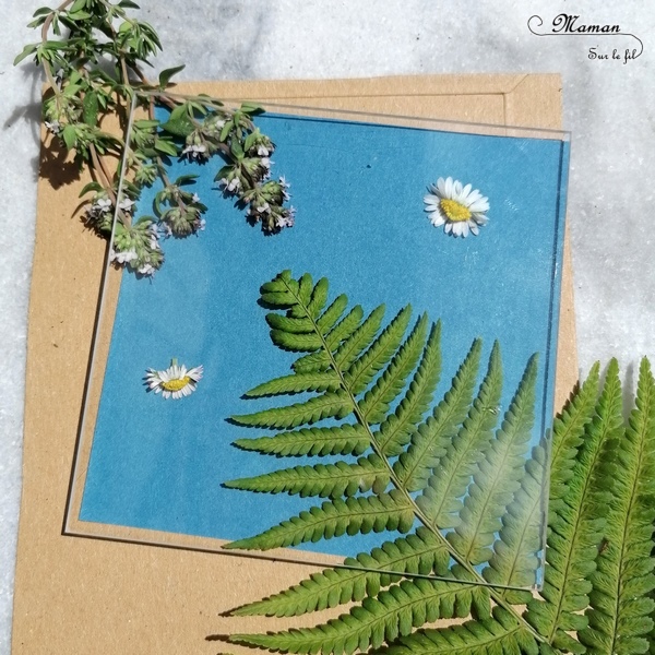 Découvrir la technique du cyanotype - Impression soleil - Papiers photosensibles - Utiliser la nature et le soleil pour créer de petits tableaux bleus cyan - Décorations DIY Chambre enfants - Fleurs, végétations, fougères - Kit Sunprint - Météo et été - Expérience et sciences enfants - - activité créative et manuelle enfants - Bricolage Eté - Tutoriel - Arts visuels, projet collaboratif maternelle et élémentaire - Cycles 1 et 2 - mslf