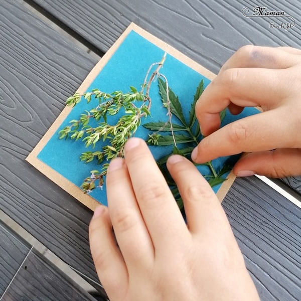 Découvrir la technique du cyanotype - Impression soleil - Papiers photosensibles - Utiliser la nature et le soleil pour créer de petits tableaux bleus cyan - Décorations DIY Chambre enfants - Fleurs, végétations, fougères - Kit Sunprint - Météo et été - Expérience et sciences enfants - - activité créative et manuelle enfants - Bricolage Eté - Tutoriel - Arts visuels, projet collaboratif maternelle et élémentaire - Cycles 1 et 2 - mslf