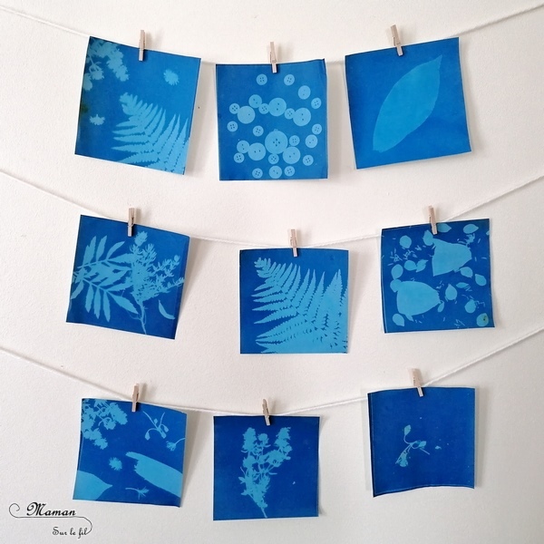 Découvrir la technique du cyanotype - Impression soleil - Papiers photosensibles - Utiliser la nature et le soleil pour créer de petits tableaux bleus cyan - Décorations DIY Chambre enfants - Fleurs, végétations, fougères - Kit Sunprint - Météo et été - Expérience et sciences enfants - - activité créative et manuelle enfants - Bricolage Eté - Tutoriel - Arts visuels, projet collaboratif maternelle et élémentaire - Cycles 1 et 2 - mslf