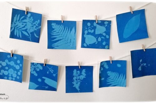 Découvrir la technique du cyanotype - Impression soleil - Papiers photosensibles - Utiliser la nature et le soleil pour créer de petits tableaux bleus cyan - Décorations DIY Chambre enfants - Fleurs, végétations, fougères - Kit Sunprint - Météo et été - Expérience et sciences enfants - - activité créative et manuelle enfants - Bricolage Eté - Tutoriel - Arts visuels, projet collaboratif maternelle et élémentaire - Cycles 1 et 2 - mslf