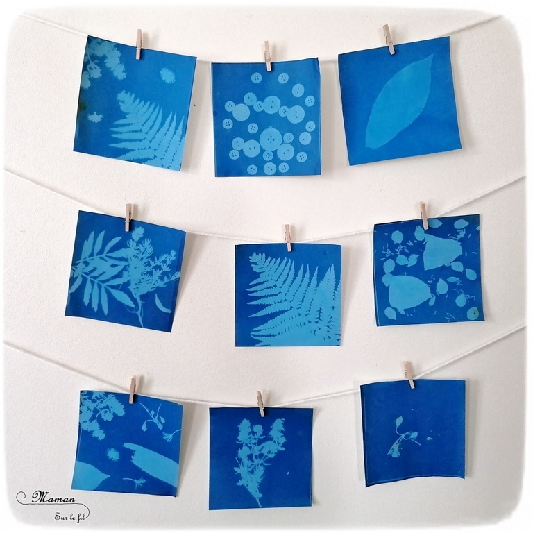 Découvrir la technique du cyanotype - Impression soleil - Papiers photosensibles - Utiliser la nature et le soleil pour créer de petits tableaux bleus cyan - Décorations DIY Chambre enfants - Fleurs, végétations, fougères - Kit Sunprint - Météo et été - Expérience et sciences enfants - - activité créative et manuelle enfants - Bricolage Eté - Tutoriel - Arts visuels, projet collaboratif maternelle et élémentaire - Cycles 1 et 2 - mslf