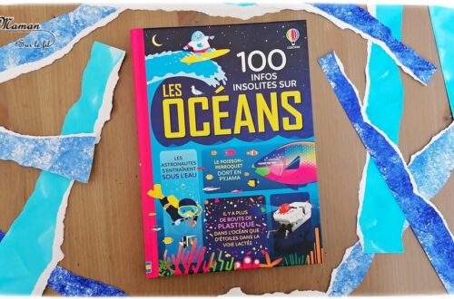 Livre enfants - 100 infos insolites sur les océans - éditions Usborne - Documentaires Mer, animaux marins, poissons, plage - Thème été - Petites anecdotes rigolotes - littérature enfant et jeunesse - Test et avis - mslf