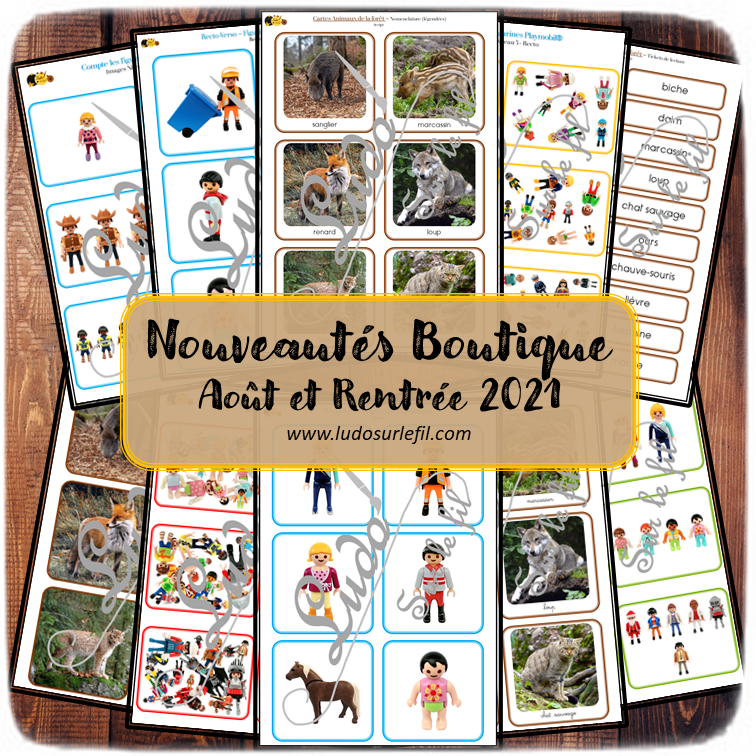 Nouveautés d'août et de la rentrée 2021 - Boutique en ligne Ludo sur le fil - fichiers jeux pdf à télécharger et imprimer ou jeux imprimés envoyés à domicile - figurines Playmobil et animaux de la forêt - Automne - Cartes Montessori, classifiées, de nomenclature, tickets de lecture, dénombrement, jeu recto-verso - jeu mathématiques, discrimination visuelle - ateliers autocorrectifs - mslf