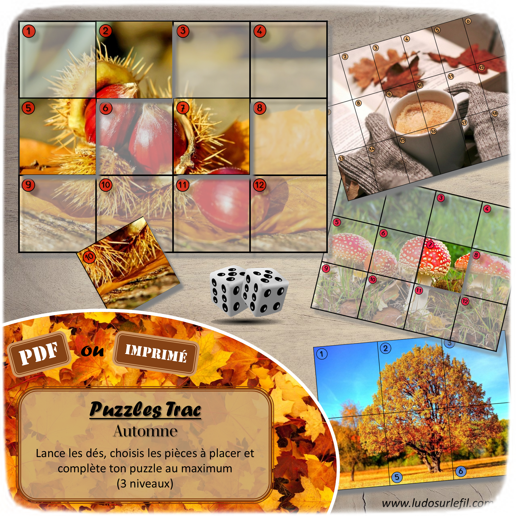 Jeu Puzzles Trac - Automne - inspiré du célèbre Shut the box - Fermer la boîte - Trac - lance les dés, choisis les pièces et complète ton puzzle au maximum - Mathématiques, constellations, dénombrement, additions, décomposition additive, stratégie, probabilité, différentes représentations nombre - Jeu de société en 3 niveaux progressifs - de 1 à 18 - Atelier maternelle et élémentaire - PDF à télécharger et imprimer ou jeu imprimé - cycles 1 ou 2 - calcul - Automne, paysages, nature, fruits secs, pluie, météo, animaux, 4 saisons... - lslf