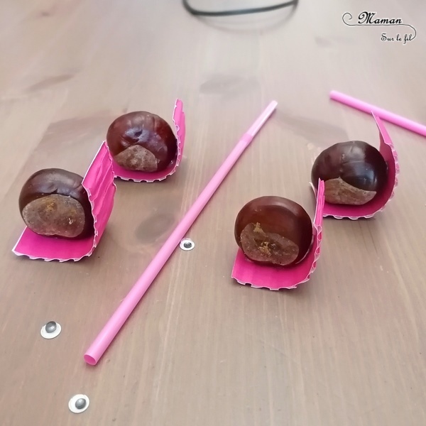 Activité créative et manuelle enfants - Nos petits escargots en marron et récup' - Land Art d'automne pour utiliser nos trésors de saison - Bricolage avec carton ondulé, yeux mobiles et pailles - Girly - Arts visuels et créativité maternelle et Cycle 2 - mslf