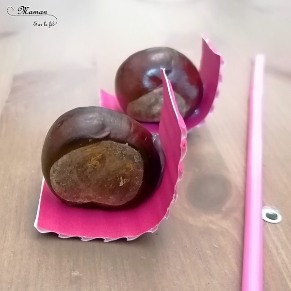 Activité créative et manuelle enfants - Nos petits escargots en marron et récup' - Land Art d'automne pour utiliser nos trésors de saison - Bricolage avec carton ondulé, yeux mobiles et pailles - Girly - Arts visuels et créativité maternelle et Cycle 2 - mslf