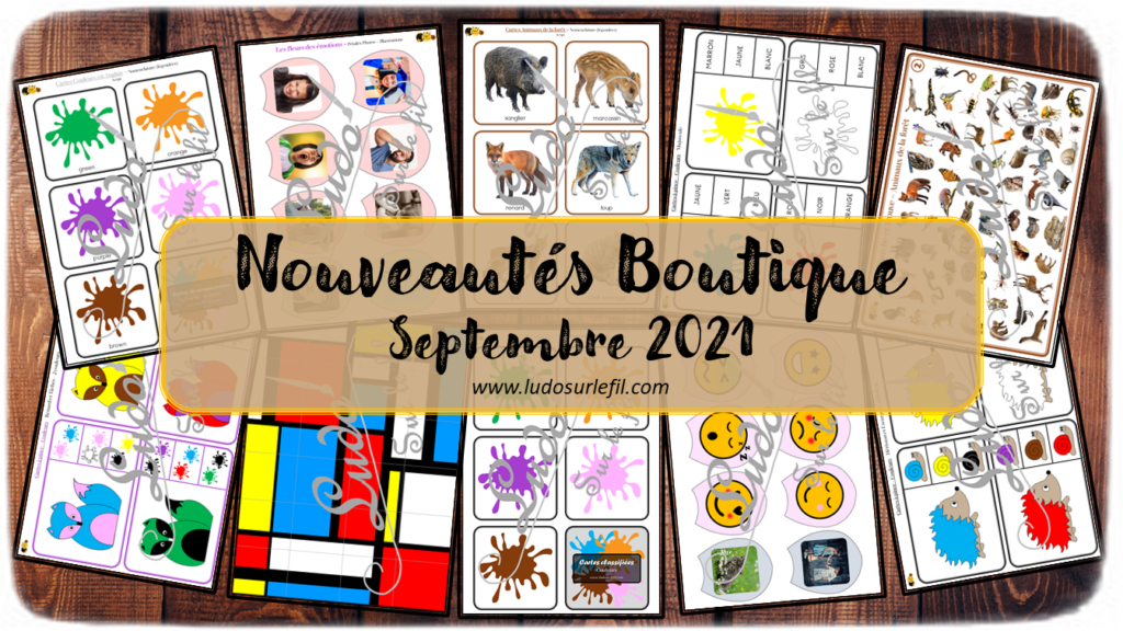 Nouveautés de septembre 2021 - Boutique en ligne Ludo sur le fil - fichiers jeux pdf à télécharger et imprimer ou jeux imprimés envoyés à domicile - animaux de la forêt, couleurs en français et en anglais, émotions, mondrian - Automne - Cartes Montessori, classifiées, de nomenclature, tickets de lecture, cartes à pince, jeu d'association, fleurs, cherche et trouve, puzzles - discrimination visuelle - ateliers autocorrectifs - mslf