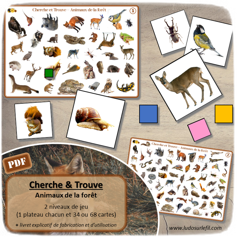 Jeu de cherche et trouve - Animaux de la forêt - 2 niveaux progressifs - 2 plateaux avec 34 ou 68 photos - Discrimination visuelle, rapidité, jeu de société - Atelier maternelle - Jeu à télécharger et à imprimer ou jeu imprimé - Format PDF - lslf