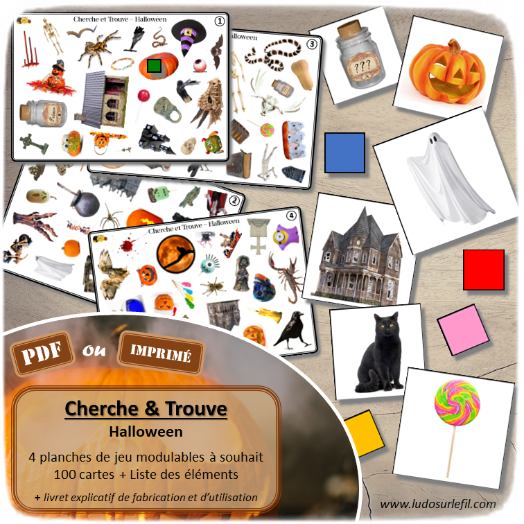 Cherche et Trouve - Halloween - Lynx - Citrouilles, bonbons, monstres, créatures légendaires, animaux effrayants - sorcières et potions - Photos sur fond blanc - 4 planches pour un plateau modulable à souhait et différents niveaux de jeu - jusqu'à 100 cartes à trouver - jeu observation et rapidité - PDF à télécharger et à imprimer ou jeu imprimé - atelier maternelle - Noms des éléments - lslf