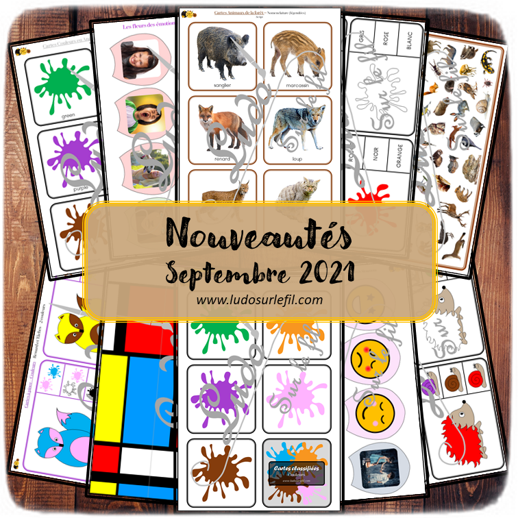 Nouveautés de septembre 2021 - Boutique en ligne Ludo sur le fil - fichiers jeux pdf à télécharger et imprimer ou jeux imprimés envoyés à domicile - animaux de la forêt, couleurs en français et en anglais, émotions, mondrian - Automne - Cartes Montessori, classifiées, de nomenclature, tickets de lecture, cartes à pince, jeu d'association, fleurs, cherche et trouve, puzzles - discrimination visuelle - ateliers autocorrectifs - mslf