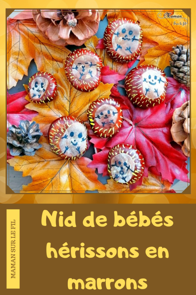 Activité créative et manuelle enfants - Nid de bébés hérissons en marrons - Feuilles mortes, pommes de pin - dessin - graphisme traits - Bricolage simple pour utiliser les marrons - Land Art d'automne pour utiliser nos trésors de saison - Arts visuels et créativité maternelle et Cycle 2 - mslf