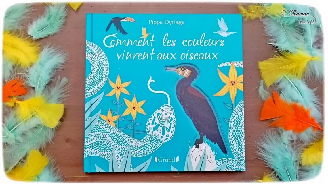 Livre enfants - Comment les couleurs vinrent aux oiseaux aux éditions Grund - Conte traditionnel des Caraïbes sublimé par les illustrations et les découpes de Pippa Dyrlaga - Serpent, oiseaux - Légende indienne - Découverte géographique - Amérique du Nord - Indiens - test et avis - mslf