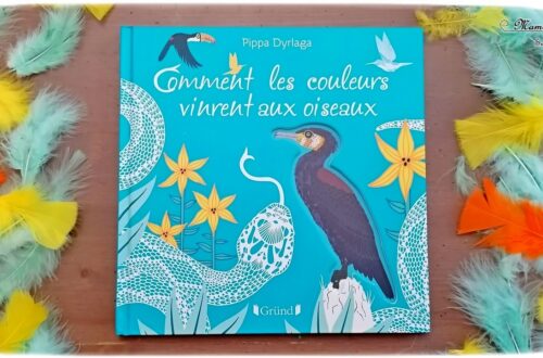 Livre enfants - Comment les couleurs vinrent aux oiseaux aux éditions Grund - Conte traditionnel des Caraïbes sublimé par les illustrations et les découpes de Pippa Dyrlaga - Serpent, oiseaux - Légende indienne - Découverte géographique - Amérique du Nord - Indiens - test et avis - mslf