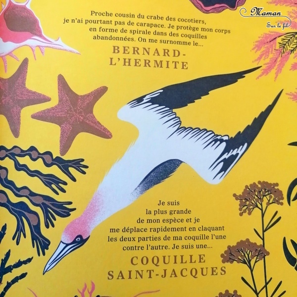 Livre enfants - Nature aux éditions Gallimard Jeunesse - De Manon Bucciarelli - lbum jeunesse entre documentaire, livre-jeu et magnifiques illustrations - Devine qui est l'animal ou le végétal et trouve le parmi les autres espèces de son biotope, de son habitat - Vocabulaire, Lexique, découverte de la nature - test et avis - mslf