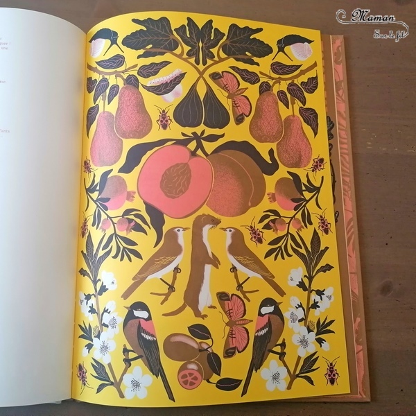 Livre enfants - Nature aux éditions Gallimard Jeunesse - De Manon Bucciarelli - lbum jeunesse entre documentaire, livre-jeu et magnifiques illustrations - Devine qui est l'animal ou le végétal et trouve le parmi les autres espèces de son biotope, de son habitat - Vocabulaire, Lexique, découverte de la nature - test et avis - mslf