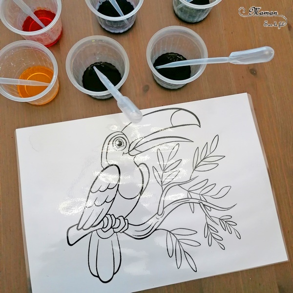 Activité créative enfants - Colorier un toucan avec des gouttes eau colorées - Motricité fine, art éphémère, patience et précision - Pipettes et encre - Pince et préhension doigts - Créativité - Amérique du Sud et Brésil- Découverte d'un pays - Espace et géographie - Animaux de la jungle et oiseaux - arts visuels et atelier maternelle et Cycle 1 et 2 - mslf