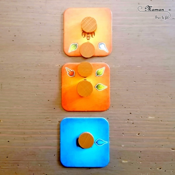 Jeu de société enfants et adultes - Sagani chez Funforge - Jeu de choix et de placement de tuiles très stratégique - Esprits de la nature à révéler - 4 éléments (feu, eau, terre, air) - Organisation et efficacité demandées - 8 ans et plus - Variante pour jouer seul - Solo - Test et avis - mslf