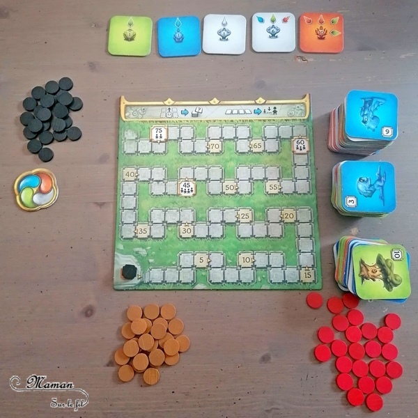 Jeu de société enfants et adultes - Sagani chez Funforge - Jeu de choix et de placement de tuiles très stratégique - Esprits de la nature à révéler - 4 éléments (feu, eau, terre, air) - Organisation et efficacité demandées - 8 ans et plus - Variante pour jouer seul - Solo - Test et avis - mslf