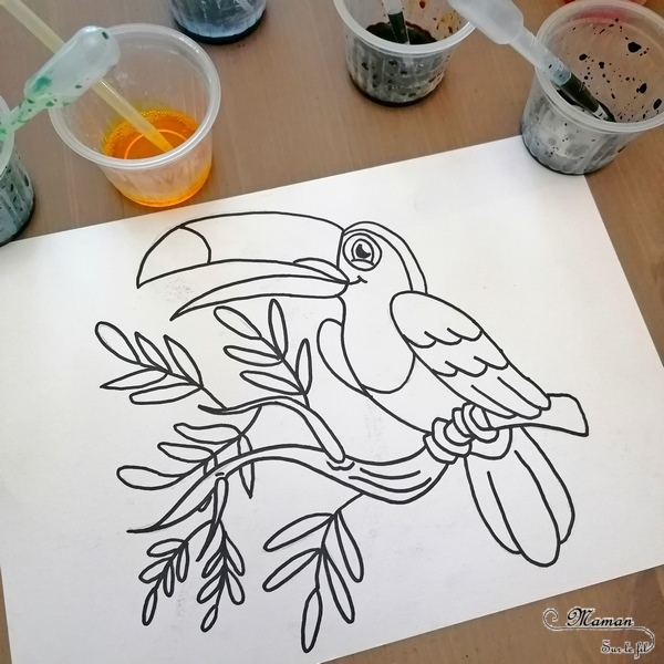 Activité créative enfants - Colorier un toucan avec des pipettes et des gouttes eau colorées - Motricité fine, patience et précision - Pipettes et encre - Pince et préhension doigts - Créativité - Amérique du Sud et Brésil- Découverte d'un pays - Espace et géographie - Animaux de la jungle et oiseaux - arts visuels et atelier maternelle et Cycle 1 et 2 - mslf