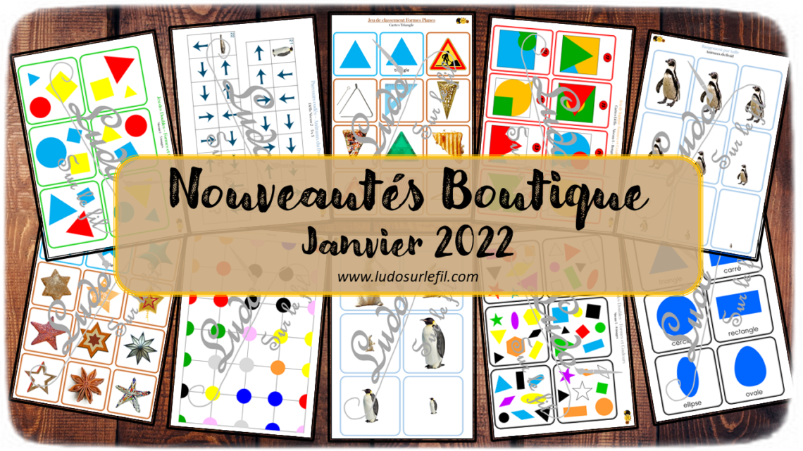 Nouveautés de janvier 2022 - Boutique en ligne Ludo sur le fil - fichiers jeux pdf à télécharger et imprimer ou jeux imprimés envoyés à domicile - Hiver, Animaux du froid, banquise et montagne, Formes, couleurs, logique, puzzles, cartes Montessori, classement, tri, rangement par taille, jeu des doubles, parcours codés - Cartes classifiées et nomenclature Montessori - atelier autocorrectif multi niveaux donc progressif - discrimination visuelle, vocabulaire, lexique - mslf