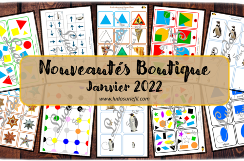 Nouveautés de janvier 2022 - Boutique en ligne Ludo sur le fil - fichiers jeux pdf à télécharger et imprimer ou jeux imprimés envoyés à domicile - Hiver, Animaux du froid, banquise et montagne, Formes, couleurs, logique, puzzles, cartes Montessori, classement, tri, rangement par taille, jeu des doubles, parcours codés - Cartes classifiées et nomenclature Montessori - atelier autocorrectif multi niveaux donc progressif - discrimination visuelle, vocabulaire, lexique - mslf