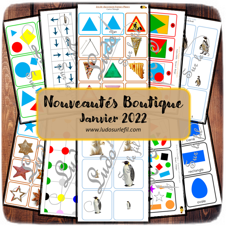 Nouveautés de janvier 2022 - Boutique en ligne Ludo sur le fil - fichiers jeux pdf à télécharger et imprimer ou jeux imprimés envoyés à domicile - Hiver, Animaux du froid, banquise et montagne, Formes, couleurs, logique, puzzles, cartes Montessori, classement, tri, rangement par taille, jeu des doubles, parcours codés - Cartes classifiées et nomenclature Montessori - atelier autocorrectif multi niveaux donc progressif - discrimination visuelle, vocabulaire, lexique - mslf