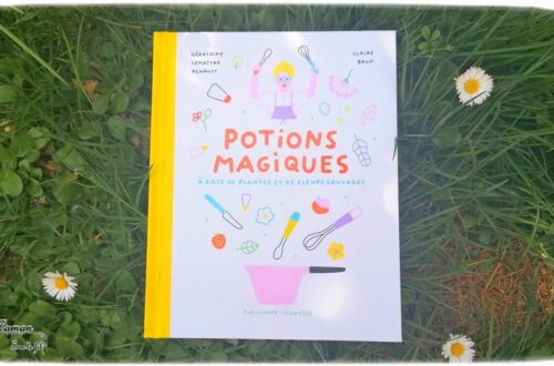 Livre enfants - Potions Magiques chez Gallimard Jeunesse - Géraldine Lemaître Renault et Claire Brun - 30 recettes à base de plantes et fleurs sauvages - cueillette au fil des 4 saisons - vertus des plantes et de la nature - sirops, limonades, guimauves, tisanes, ...) - conseils pour la cueillette, comment cuisiner et conserver - connaissances sur les plantes et fleurs - cycle de la nature, bon pour le corps - écologie et récup' - Magie - test et avis - cycles 1 et 2 - Maternelle - mslf