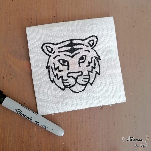 Activité créative et manuelle enfants - Expérience rigolote - Colorer un tigre avec un sopalin ou essuie-tout magique - Dessin, coloriage, et mise en couleur magique - Magie - Animaux de la jungle emblématiques de la Chine et Asie - Créativité - Découverte d'un pays - Espace et géographie - arts visuels et atelier maternelle et Cycle 1 et 2 - mslf