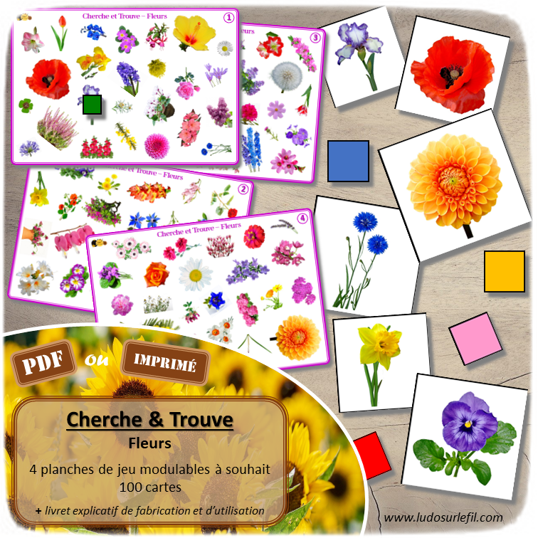 Jeu de Cherche et Trouve - Type Lynx - Fleurs - Printemps et Nature - discrimination visuelle et rapidité - Observation - 4 plateaux modulables pour 4 niveaux de difficulté - document PDF à télécharger ou à imprimer ou jeu imprimé - atelier et autonome maternelle ou cycle 2 - lslf