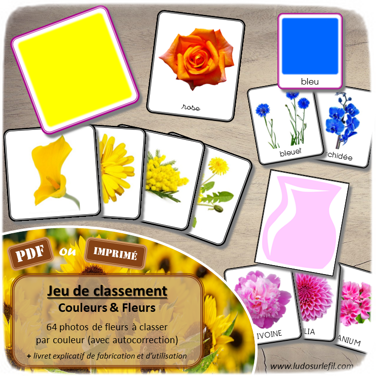 Jeu de tri et de classement par couleur - Fleurs - Printemps et Nature - discrimination visuelle, connaissance des couleurs et de leurs nuances, et travail du vocabulaire et du lexique - Observation - sans ou avec nom de la fleur (3 graphies) - document PDF à télécharger ou à imprimer ou jeu imprimé - atelier autocorrectif et autonome maternelle ou cycle 2 - lslf