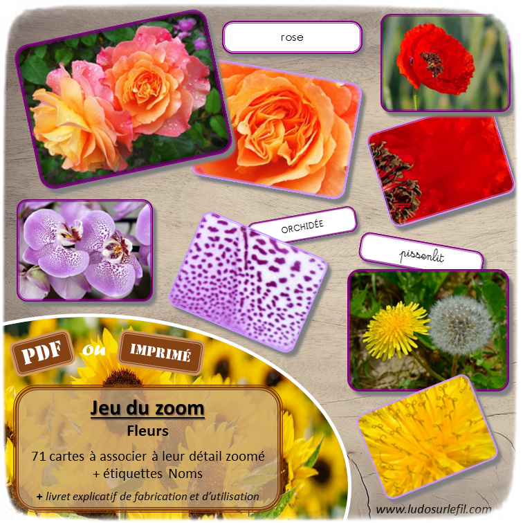 Jeu du zoom - Fleurs - Printemps et Nature - discrimination visuelle et travail du vocabulaire et du lexique - Observation - Loupe - document PDF à télécharger ou à imprimer ou jeu imprimé - atelier autocorrectif et autonome maternelle ou cycle 2 - tickets de lecture 3 graphies - alternative ludique aux cartes de nomenclature et classifiées Montessori - lslf