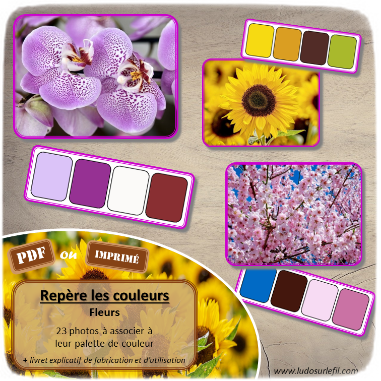 Repère les couleurs - Fleurs - Printemps et Nature - discrimination visuelle, nuances de couleurs et travail du vocabulaire et du lexique - Observation - document PDF à télécharger ou à imprimer ou jeu imprimé - atelier autocorrectif et autonome maternelle ou cycle 2 - lslf