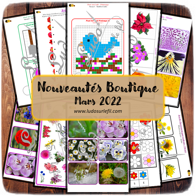 Nouveautés de mars 2022 - Boutique en ligne Ludo sur le fil - fichiers jeux pdf à télécharger et imprimer ou jeux imprimés envoyés à domicile - Fleurs, Plantes et Printemps - Pixel Art Codé, Livret d'enquête, jeu du zoom, repère les couleurs, tri et classement par couleur, puzzles, cherche et trouve - discrimination visuelle - atelier autocorrectif multi niveaux donc progressif - Vocabulaire, lexique - Maternelle Cycle 2 - Autonomie - mslf