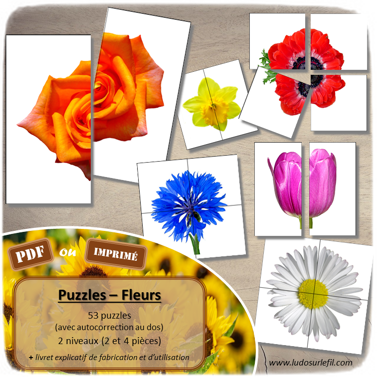 Puzzles - Fleurs - Printemps et Nature - discrimination visuelle, mise en paire et travail du vocabulaire et du lexique - Observation - 2 niveaux : 2 ou 4 pièces - document PDF à télécharger ou à imprimer ou jeu imprimé - atelier autocorrectif et autonome maternelle ou cycle 2 - lslf