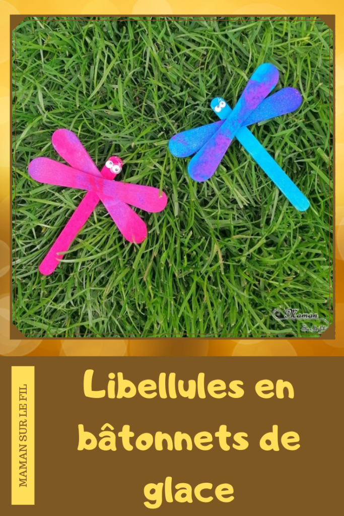 Activité manuelle et créative enfants - Fabriquer des libellules avec des bâtonnets de glace - Bricolage DIY et récup' - Peinture au tampon - Fail de l'expérience des insectes qui volent - Propulsion au ballon - Echec - Insectes et printemps - bois - recyclage - Animaux - Surcyclage - Bricolage et Créativité - arts visuels Elémentaire, maternelle, Cycle 1, 2 - Nature - mslf