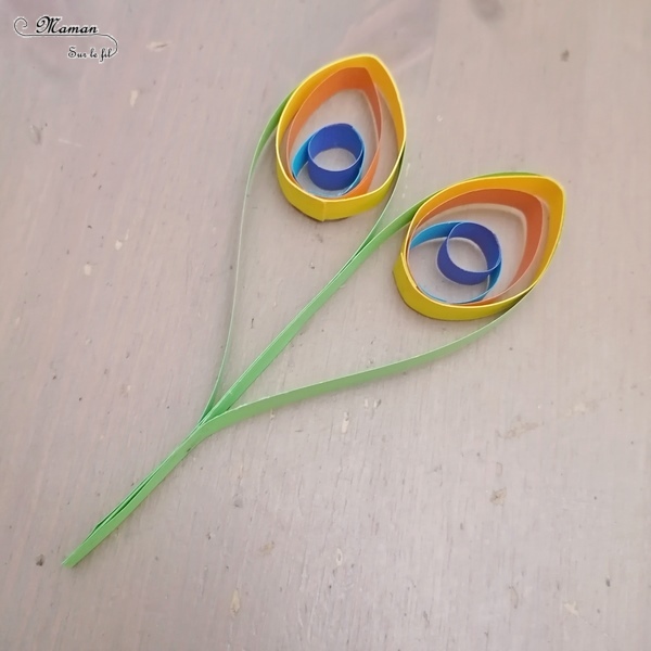 Activité manuelle et créative enfants - Fabriquer un paon avec des ronds de papier - Cercles et couleurs - Découpage et Collage - Initiation au quilling- Animaux de la ferme et oiseaux - Récup' - Utilisation des chutes de papier - Surcyclage et peinture - Bricolage et Créativité - arts visuels Elémentaire, maternelle, Cycle 1, 2 - Asie et Chine - mslf