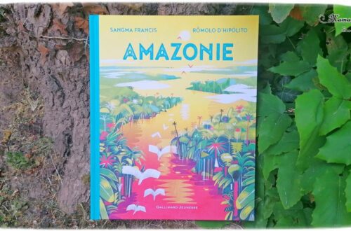 Livre, lecture enfants - Amazonie, magnifique documentaire chez Gallimard jeunesse - De Sangma Francis et Romolo d'Hipoloto - Album jeunesse pour découvrir le monde - Amérique du Sud - Fleuve, forêt tropicale, jungle, Brésil, animaux, modes de vie, légendes, civilisations - Environnement, biodiversité - protection de la nature - magnifiques illustrations - Vocabulaire, Lexique, découverte de la nature - test et avis - mslf