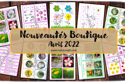 Nouveautés avril 2022 - Boutique en ligne Ludo sur le fil - fichiers jeux pdf à télécharger et imprimer ou jeux imprimés envoyés à domicile - Fleurs, Plantes et Printemps - Loto, jeu des familles, parcours codés, cartes de nomenclature et classifiées type Montessori, lecture, cartes à pince dénombrement, mathématiques, qui a la plus grande fleur, dés - atelier autocorrectif multi niveaux donc progressif - Vocabulaire, lexique - Maternelle Cycle 2 - Autonomie - mslf