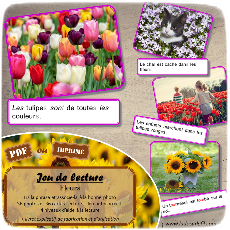 Jeu de lecture - Fleurs et printemps - Lis les phrases sur les cartes et associe-les à la bonne photo - Lecture de phrases, fluence et compréhension de l'écrit - 4 niveaux d'aide à la lecture - Insectes, plantes, nature, jardinage - Lexique et Vocabulaire - Atelier autocorrectif apprentissage lecture - Cycle 2 - 36 photos - PDF à télécharger et à imprimer ou jeu imprimé - Atelier autonome - lslf