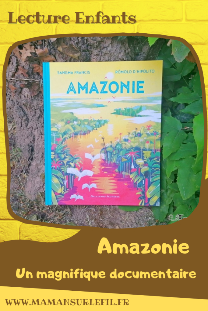 Livre, lecture enfants - Amazonie, magnifique documentaire chez Gallimard jeunesse - De Sangma Francis et Romolo d'Hipoloto - Album jeunesse pour découvrir le monde - Amérique du Sud - Fleuve, forêt tropicale, jungle, Brésil, animaux, modes de vie, légendes, civilisations - Environnement, biodiversité - protection de la nature - magnifiques illustrations - Vocabulaire, Lexique, découverte de la nature - test et avis - mslf