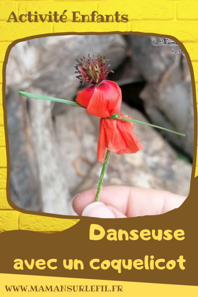 Activité créative et manuelle enfants - Fabriquer des danseuses avec des coquelicots - Land Art - Bricolage facile avec des fleurs - poétique - Fleurs et Printemps - facile rapide et rigolo - Poésie et magie - Nature, cueillette et fleurs du jardin - Land art - Art éphémère - Activité nature de saisons - Printemps - Elémentaire, maternelle, Cycle 1, 2 - mslf