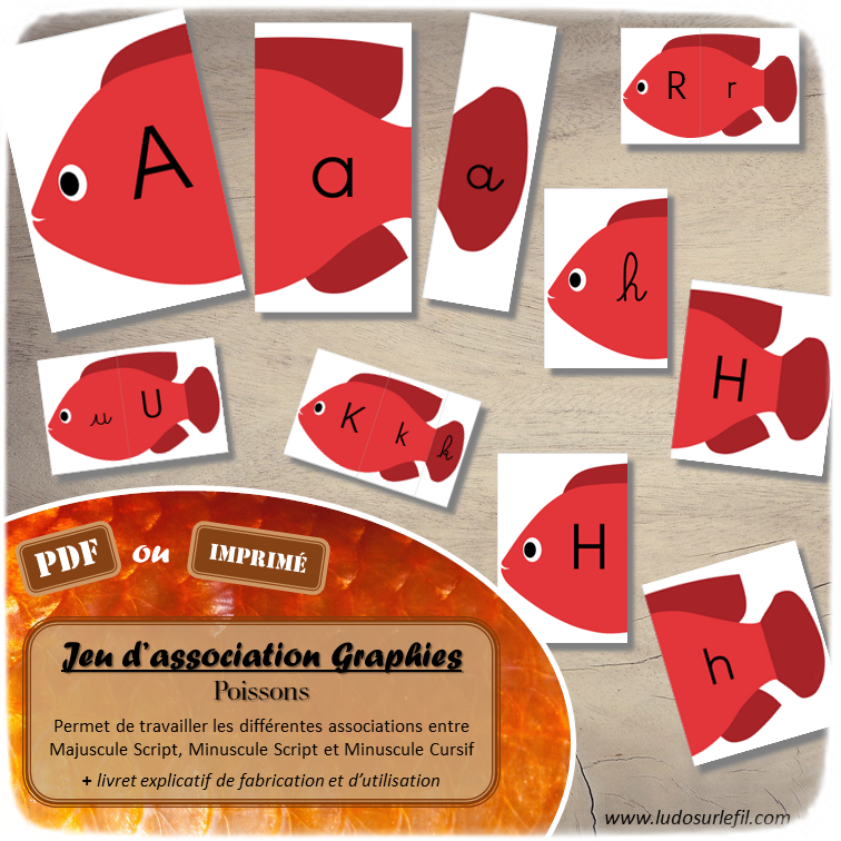 Jeu d'association différentes graphies des lettres - Poissons - pour été ou thème animaux marins - Ecritures majuscule et minuscule script et minuscule cursif - Ordre alphabétique - Alphabet - Atelier autonome maternelle - IEF - PDF à télécharger et imprimer ou jeu imprimé - version cartes facile à découper - Puzzles Têtes corps et queues - Français - lslf