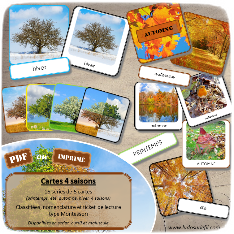 Jeu de cartes type Montessori (classifiées et de nomenclature) - 4 saisons - Printemps, été, automne, hiver et 4 saisons - Nature, animaux, arbres, forêts, paysages, objets, vêtements au fil des saisons - Observation, description, vocabulaire - 15 séries de cartes avec éléments au fil des 4 saisons + carte 4 saisons réunies - Activité de classement et tri par saison possible - Autocorrection au dos (noms pour lecteurs, symboles pour non lecteurs) - 3 graphies disponibles - Script, majuscule, cursif - Document PDF à télécharger et imprimer ou jeu imprimé - Classification - 96 cartes - Tickets de lecture - atelier autocorrectif maternelle élémentaire - Cycle 1 ou 2 - discrimination visuelle, observation, culture générale, lecture de mots, langage oral, lexique - lslf