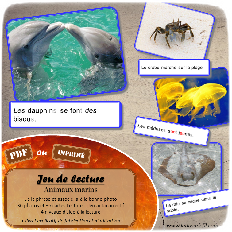 Jeu de lecture - Animaux marins - Mer et plage - Lis les phrases sur les cartes et associe-les à la bonne photo - Lecture de phrases, fluence et compréhension de l'écrit - 4 niveaux d'aide à la lecture - Eté - Lexique et Vocabulaire - Atelier autocorrectif apprentissage lecture - Cycle 2 - 36 photos - PDF à télécharger et à imprimer ou jeu imprimé - Atelier autonome - lslf