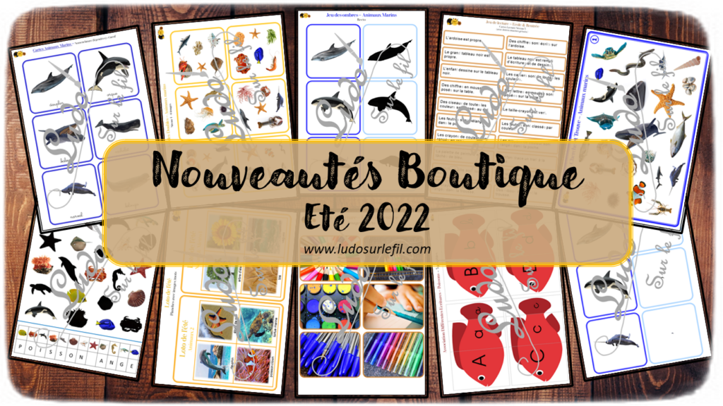 Nouveautés été 2022 - Boutique en ligne Ludo sur le fil - fichiers jeux pdf à télécharger et imprimer ou jeux imprimés envoyés à domicile - Eté, animaux marins, école, rentrée - Cartes Montessori, de nomenclature, classifiées, jeu des ombres, de la loupe, cherche et trouve, jeu des doubles type Dooble, livret enquête, jeux, activités, loto combinable, association graphies, lecture - atelier autocorrectif multi niveaux donc progressif - Vocabulaire, lexique - Maternelle Cycle 2 - Autonomie - mslf