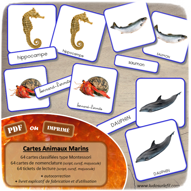 Jeu de cartes type Montessori (classifiées et de nomenclature) - Animaux marins - Océans, mer et été - connus et moins connus - Poissons, mammifères, crustacés, coquillages - Photos sur fond blanc - Autocorrection au dos (noms pour lecteurs, symboles pour non lecteurs) - 3 graphies disponibles - Script, majuscule, cursif - Document PDF à télécharger et imprimer ou jeu imprimé - Classification - 64 cartes - Tickets de lecture - atelier autocorrectif maternelle élémentaire - Cycle 1 ou 2 - discrimination visuelle, observation, culture générale, lecture de mots, langage oral, lexique - lslf