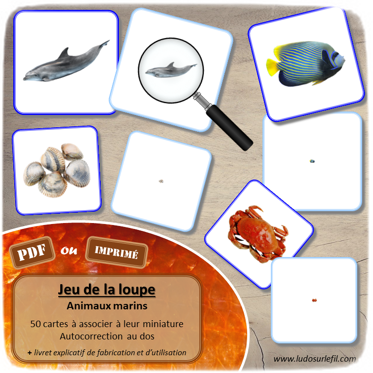 Jeu de la loupe - Animaux marins - Mammifères, crustacés, poissons, coquillages... - Océans, mer et été Photos à associer à leur miniature - Apprendre à utiliser une loupe - Vocabulaire, lexique - document PDF à télécharger et à imprimer ou jeu imprimé - atelier autocorrectif et autonome maternelle - lslf