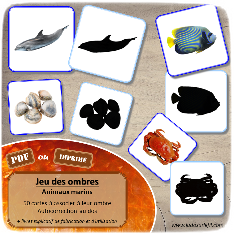 Jeu des ombres - Animaux marins - Mammifères, crustacés, poissons, coquillages... - Océans, mer et été - Vocabulaire, lexique - cartes à associer aux ombres - document PDF à télécharger et à imprimer ou jeu imprimé - atelier autocorrectif et autonome maternelle - lslf